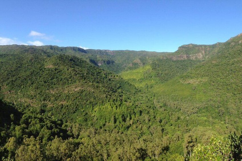 Black River Gorges Forest Hiking, Mauritius