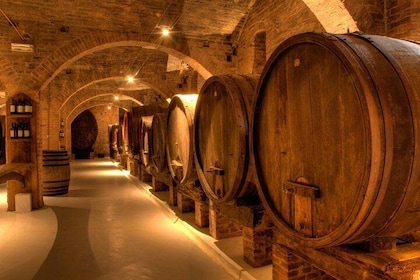 Primitivo and Negroamaro wine tour: a visit to two wineries and typical lun...