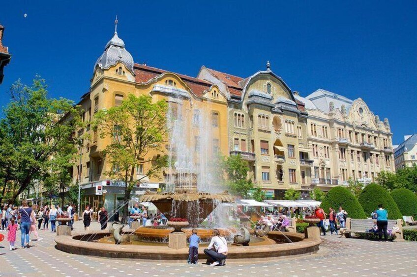 Private Day Trip to Timisoara from Belgrade