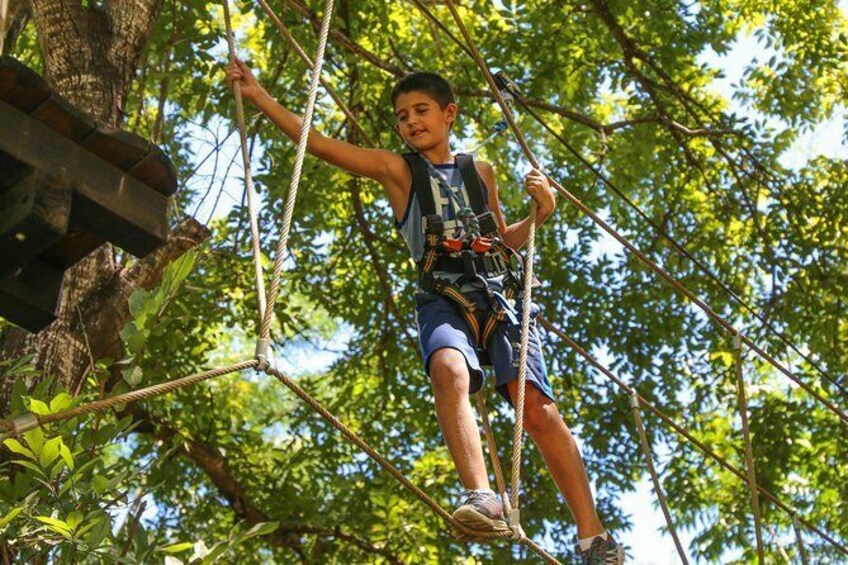 Tree Top Challenge