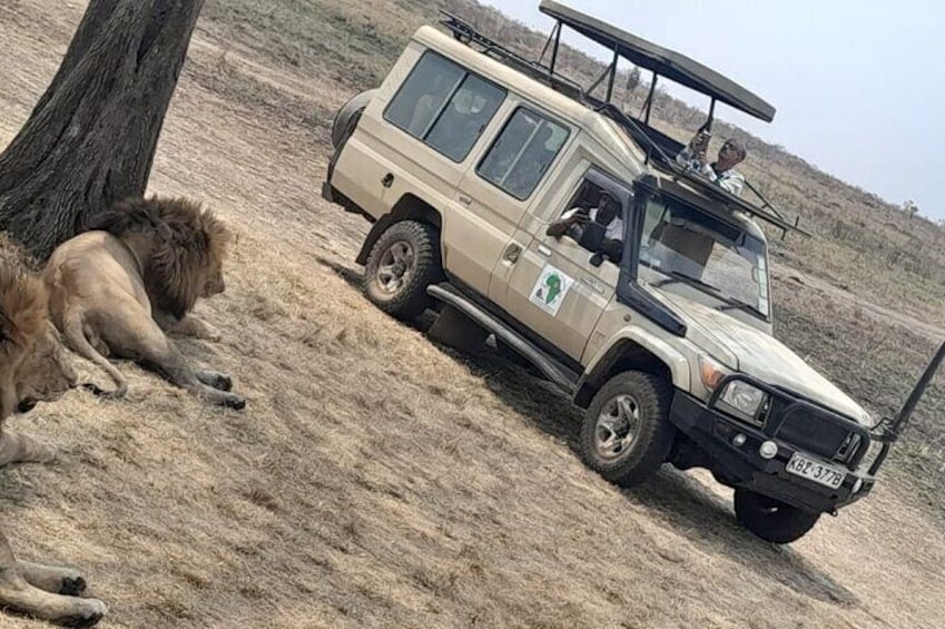 Tsavo National Park Small group Day trip 