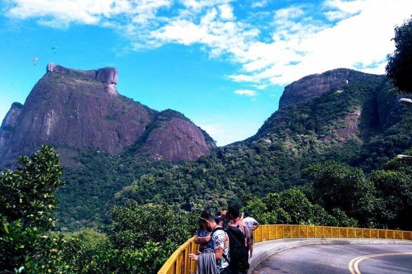Sightseeing through the Tropical Forest and the City of Rio