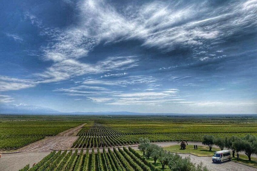 Amazing mountain and vineyard views 