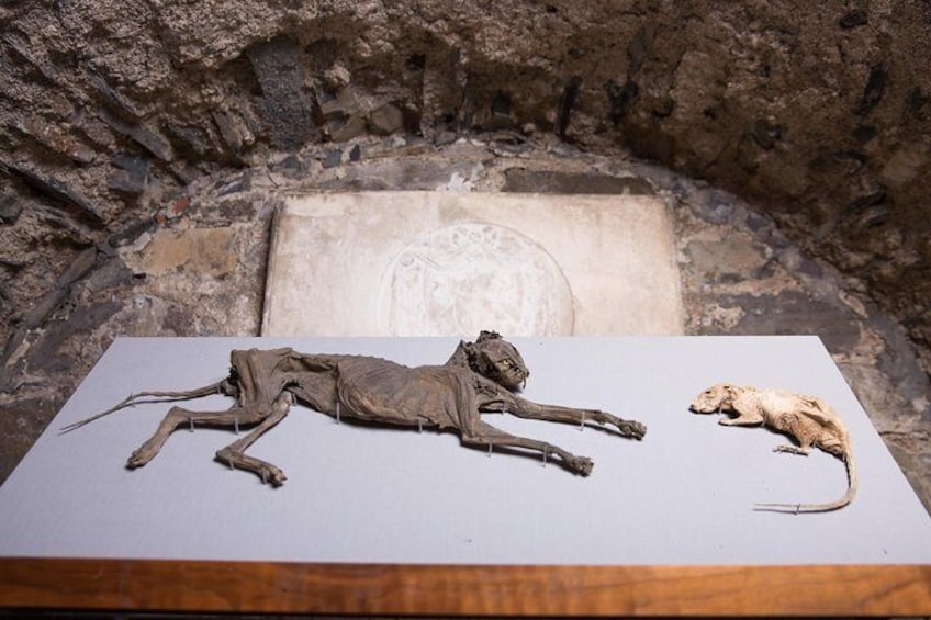 Skip the Line: Dublin Christ Church Cathedral Admission Ticket