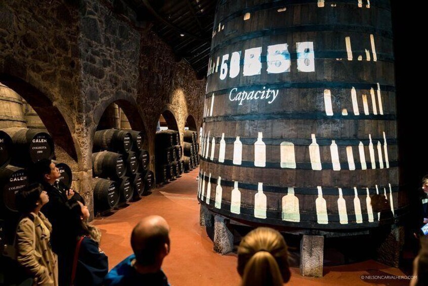 Private Porto from Lisbon with Portuguese lunch and Porto wine tasting