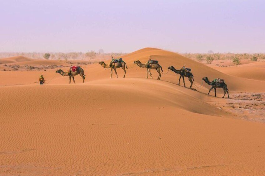 Sahara desert tour Chigaga (M'hamid) - 2 Days from Marrakech