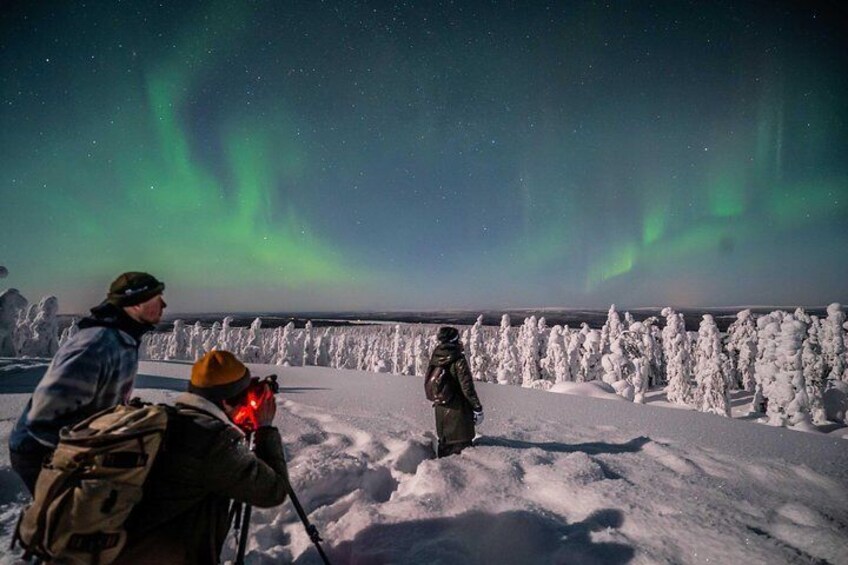 Rovaniemi Northern Lights Photography Small-Group Tour