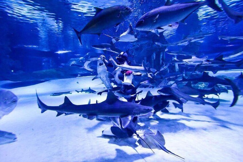 Antalya Tunnel Aquarium - Departure from Side