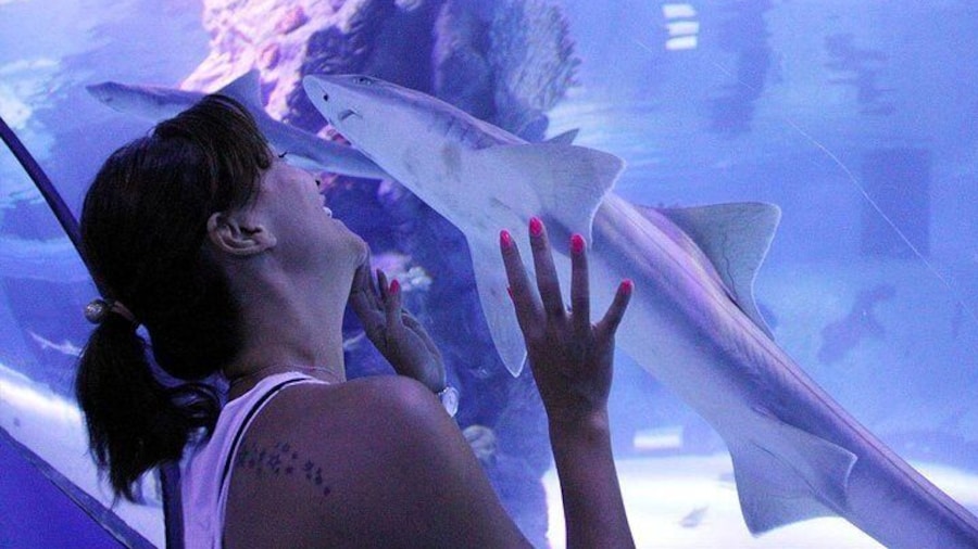 Antalya Tunnel Aquarium - Departure from Side