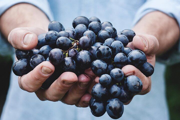 Private Wine Tasting Tour