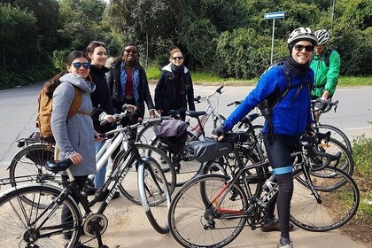 Discover Palermo by bike