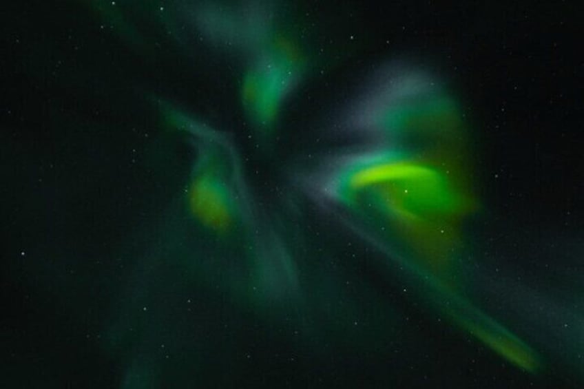 Northern Lights Enchanting: Small Group, Hot Cocoa & free Photos!