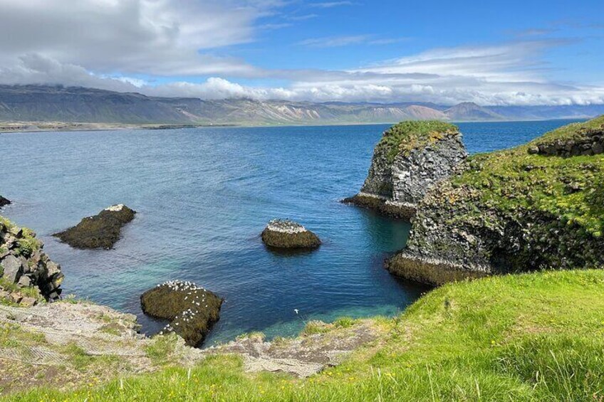 Snaefellsnes Small Group Tour with Homemade Meal from Reykjavik 