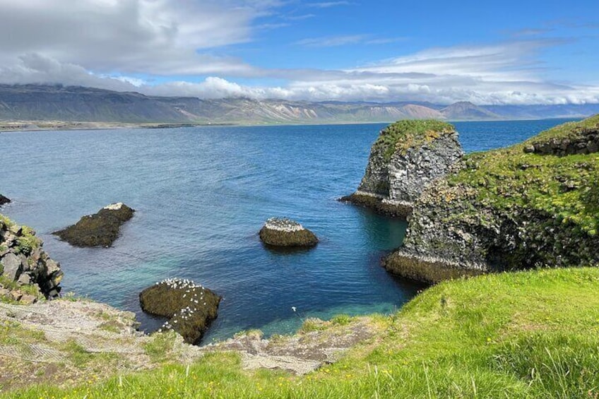 Snaefellsnes Small Group Tour with Homemade Meal from Reykjavik
