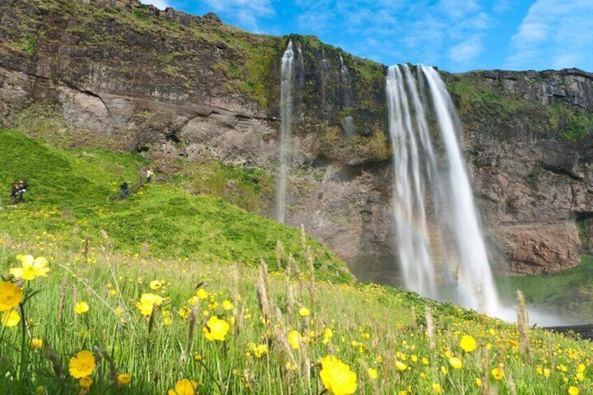 Seljalandsfoss waterfall