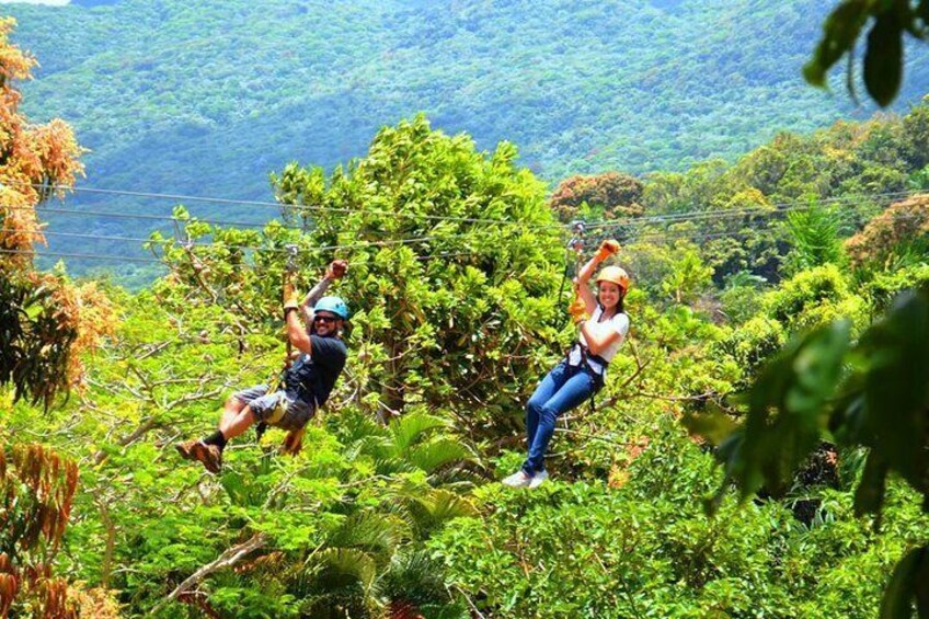 National rainforest from the birds-eye view