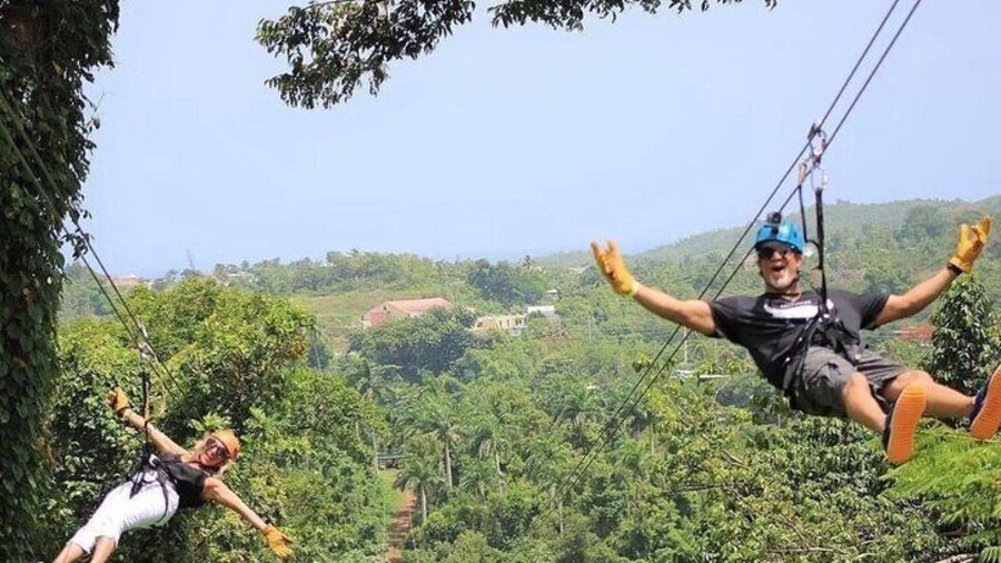 Rainforest Zipline in Foothills of the National Rainforest