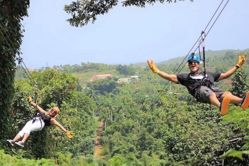 Rainforest Zipline in the El Yunque Foothills 