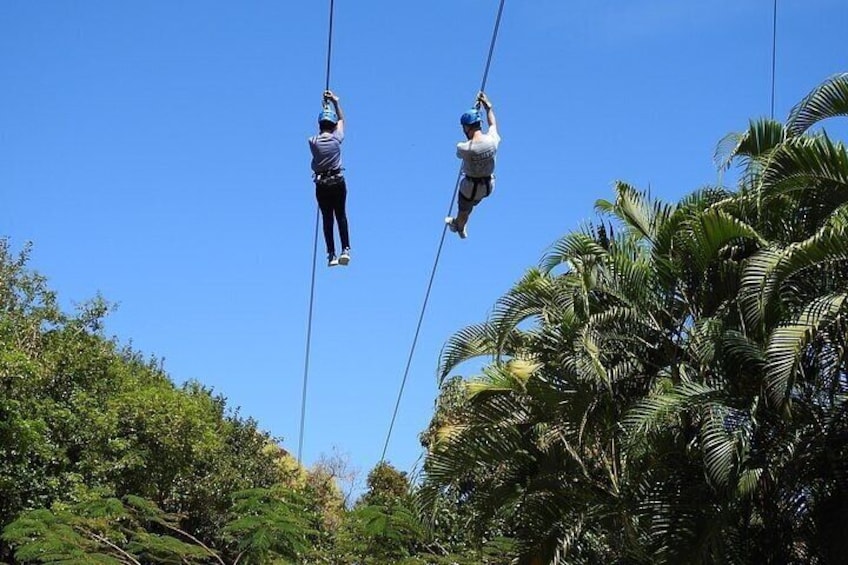 Rainforest Zipline in the El Yunque Foothills from San Juan