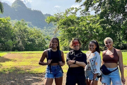 Excursión de día completo a la ruta taína en Puerto Rico