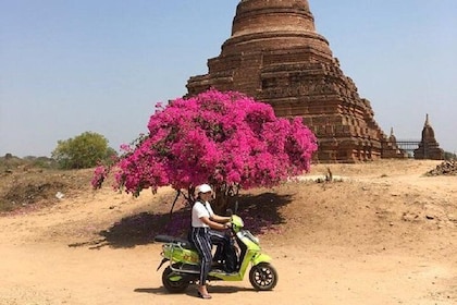UNESCO World Heritage Bagan: Archaeological Temples by E-Bike