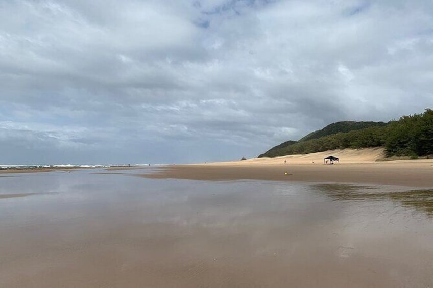 Show item 2 of 6. Isimangaliso Wetland Park and Cape Vidal Day Trip from St. Lucia