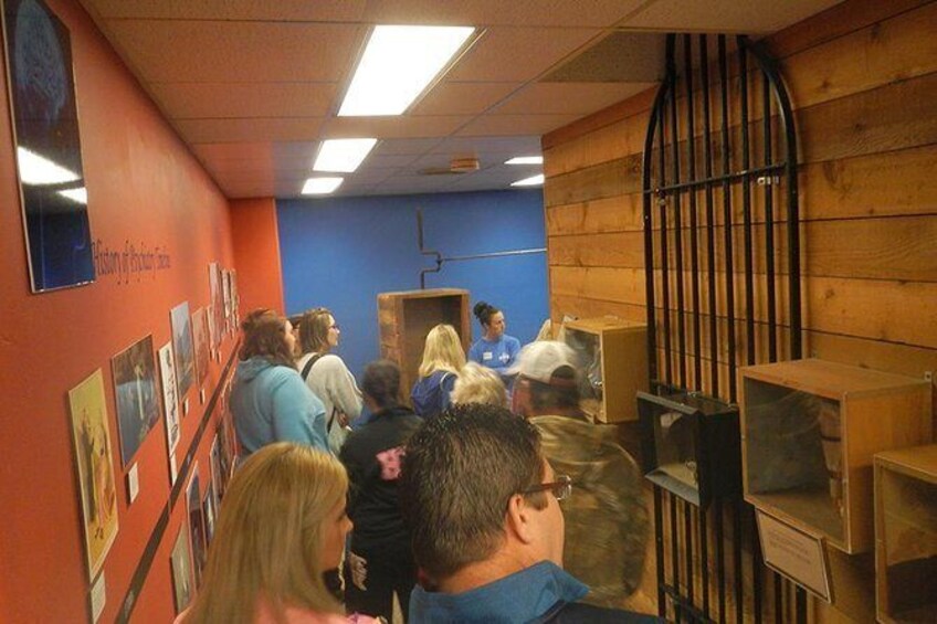Show item 1 of 4. Visitors explore the timeline of the evolution of psychiatric treatment.