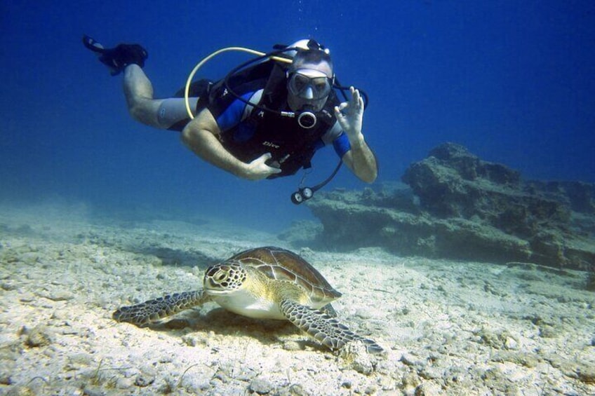 Discover Scuba Diving with Poseidon