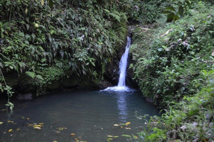 Natural waterfall in the center of PR