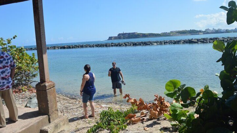 Half-Day Center of Puerto Rico Cultural Tour