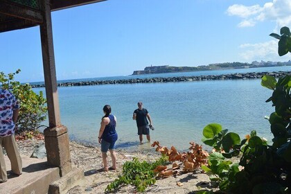 Culturele tour van een halve dag door het centrum van Puerto Rico