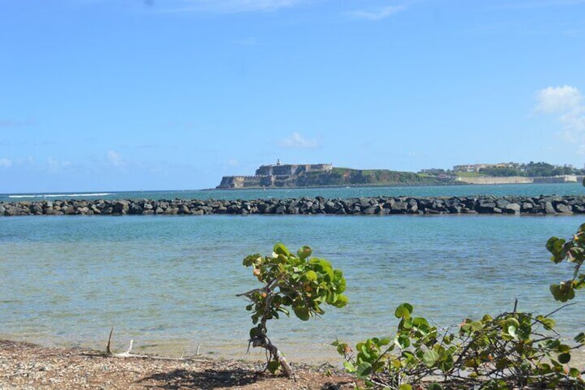 Center of Puerto Rico Day Tour from San Juan