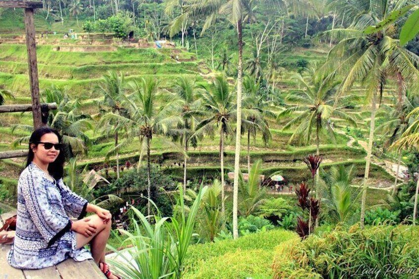 Tegalalang Rice Terraces