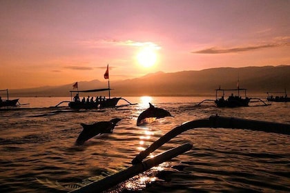 Dolphin Tour and Sunrise Watching in Lovina Beach - All-inclusive