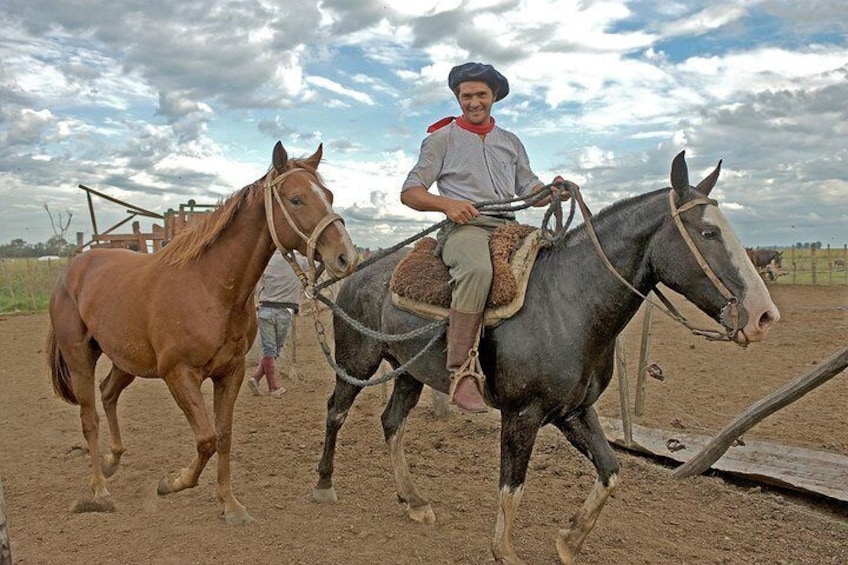 Gaucho with his horses at the Estancia