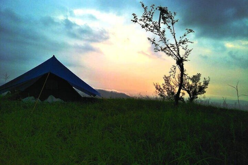Nature Trek From Dharamshala