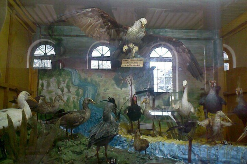 Gass Forest Museum with Lunch - Coimbatore