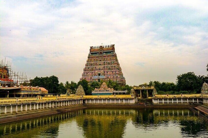 Pichavaram Mangrove & Nataraja Temple Chidambaram from Pondicherry with lunch