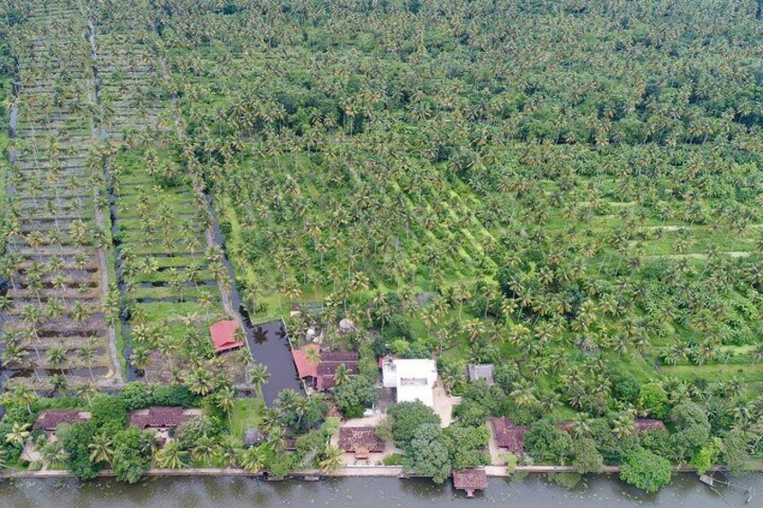 Private Philipkutty's Farm Culinary Tour including Lunch and Cooking Demo