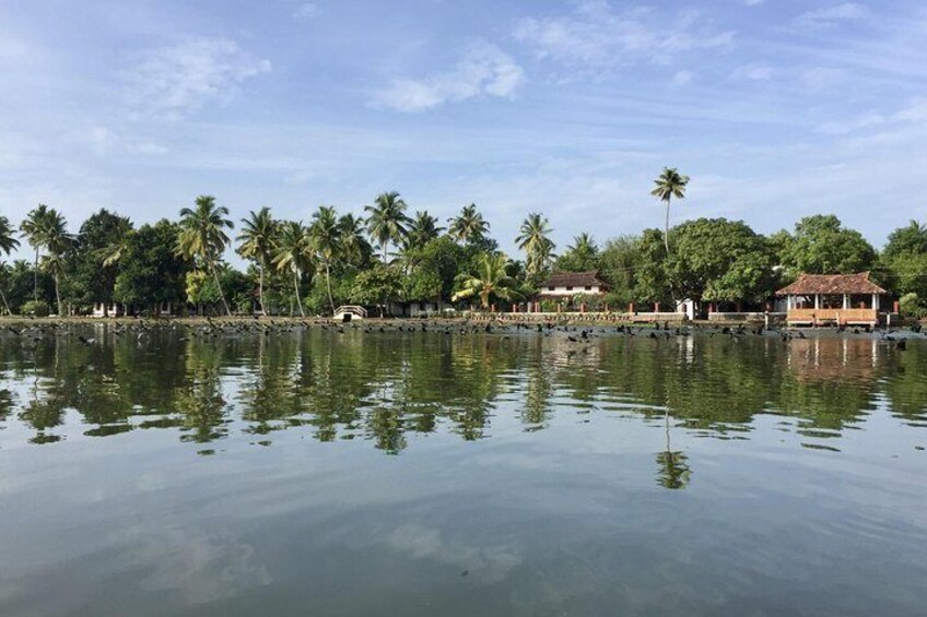 Private Philipkutty's Farm Culinary Tour including Lunch and Cooking Demo