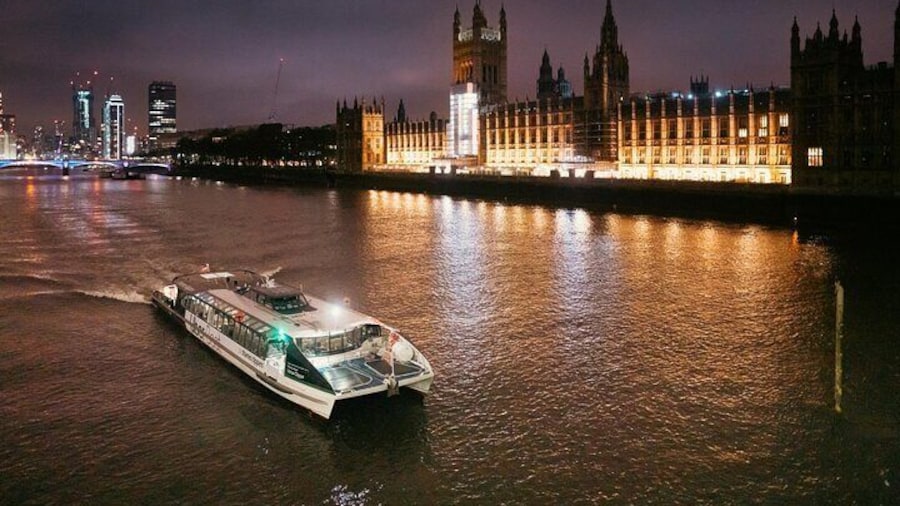 London: Hop-On Hop-Off 1 Day River Thames Adventure - Uber Boat