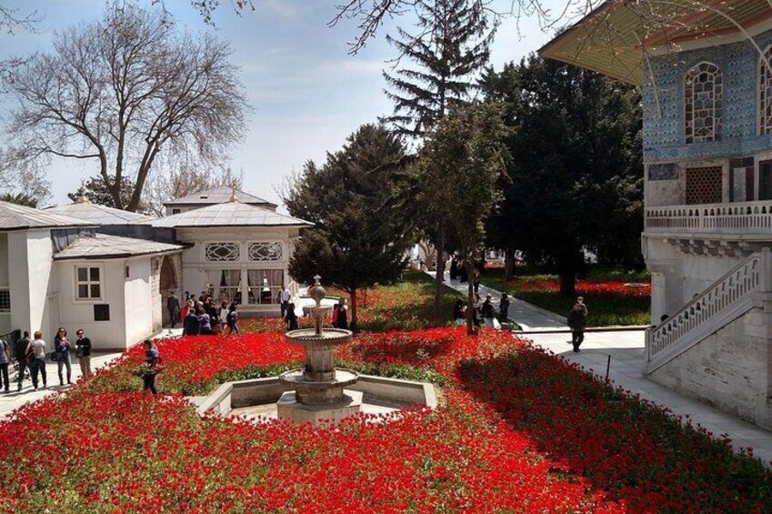 Topkapi Palace and Harem guided tour with skip-the-line tickets