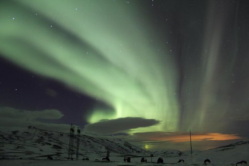 Private Monster Truck Northern Lights Hunt from Reykjavik