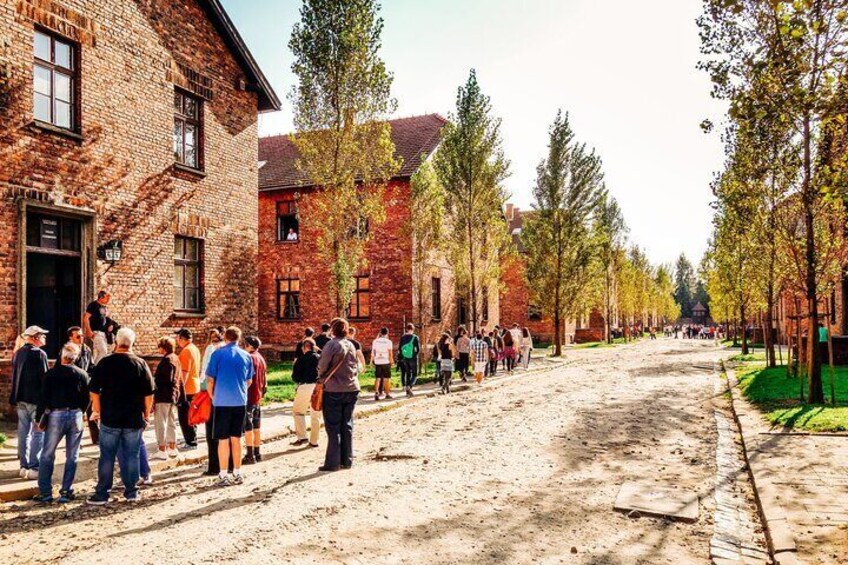 Visitors group in Auschwitz