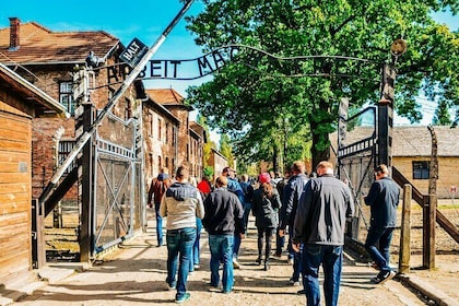 From Krakow: Auschwitz-Birkenau Tour with Transport