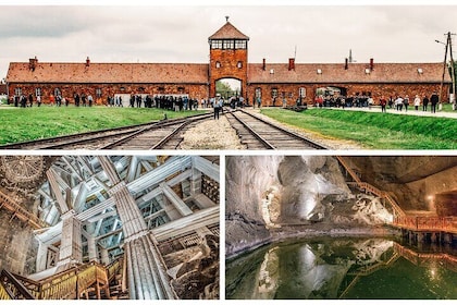 1 Day Trip Auschwitz Birkenau and Salt Mines with Hotel Transfer