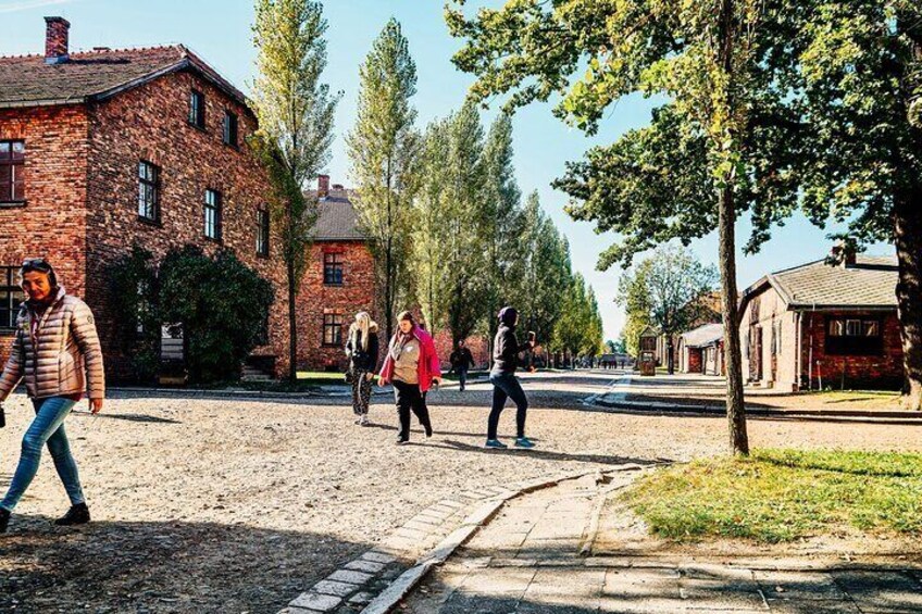 1 Day Trip Auschwitz Birkenau and Salt Mines with Hotel Transfer