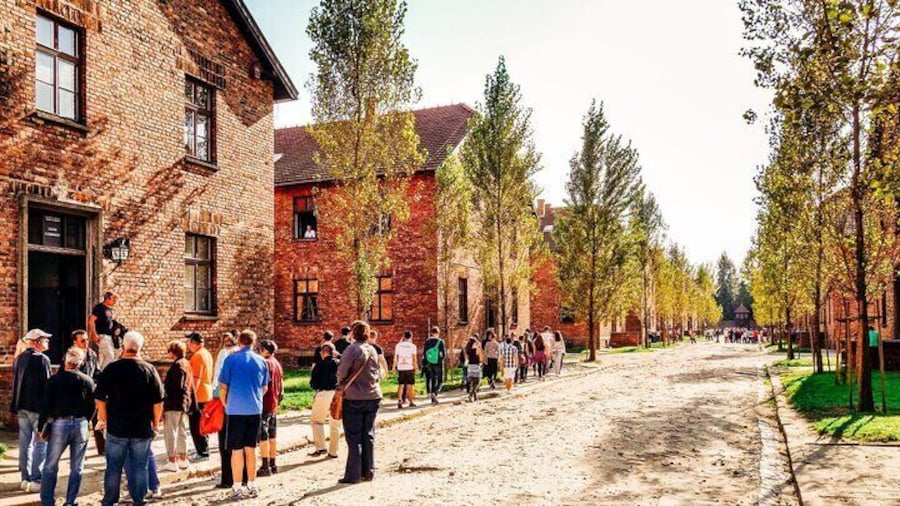 Guided tour in Auschwitz