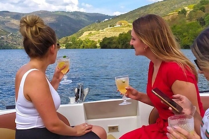 Wine Venture et excursion en bateau dans la vallée du Douro au départ de Po...
