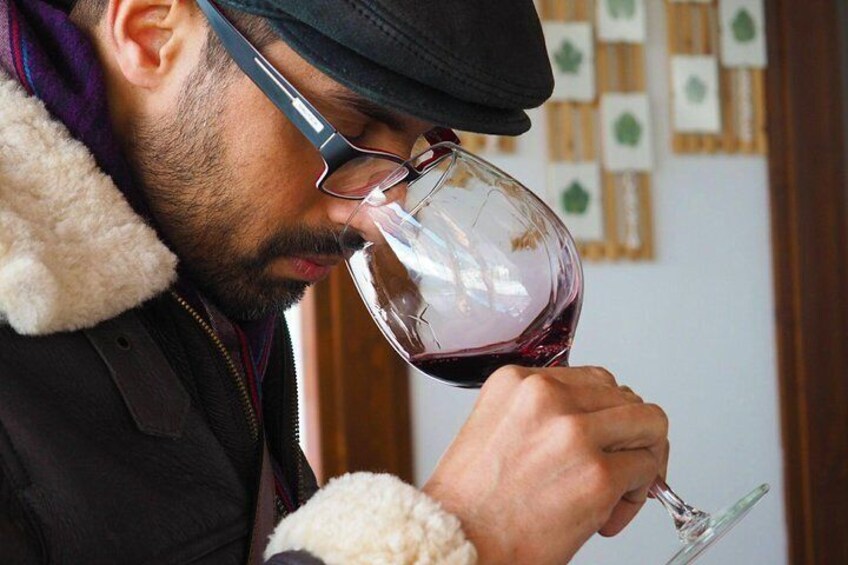 Appreciating the quality of the wine